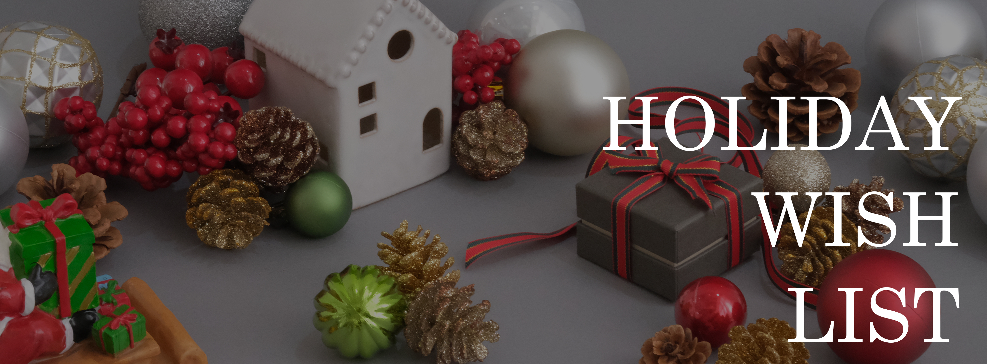 HOLIDAY WISH LIST
